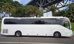 BCI LARGE (30-55 tourists) for private tours in sydney 