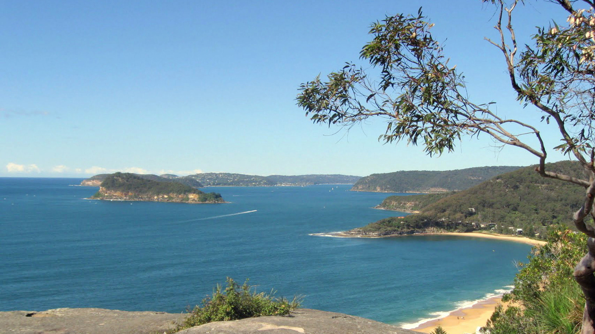 On Ku-ring-gai Chase NP and Palm Beach Private Tour10
