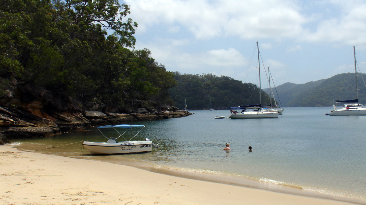On Ku-ring-gai Chase NP and Palm Beach Private Tour5