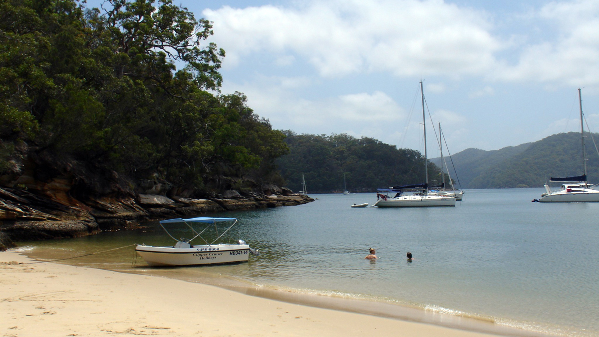 On Ku-ring-gai Chase NP and Palm Beach Private Tour6