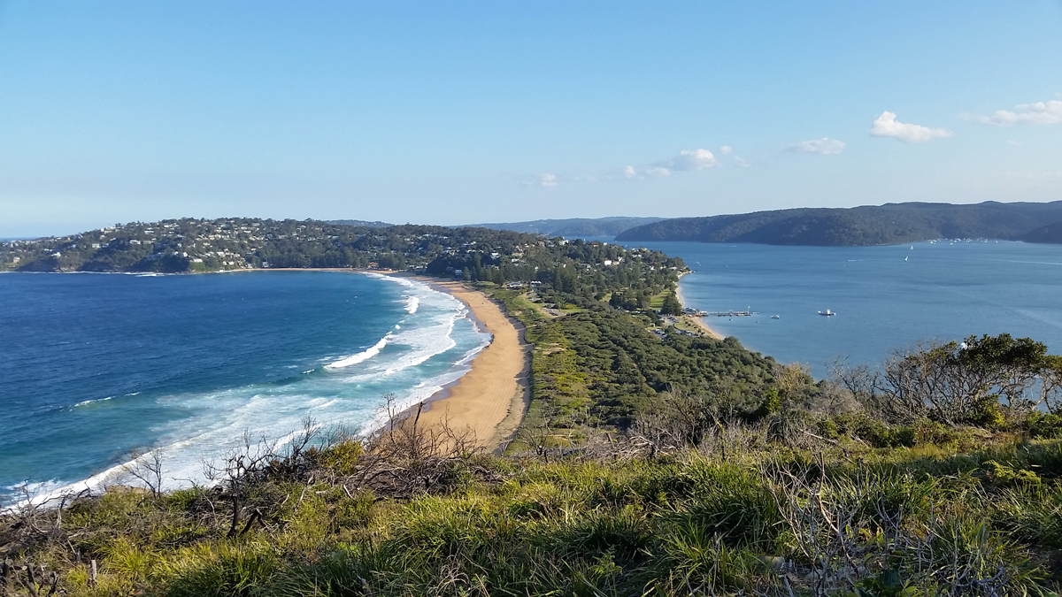 On Ku-ring-gai Chase NP and Palm Beach Private Tour8