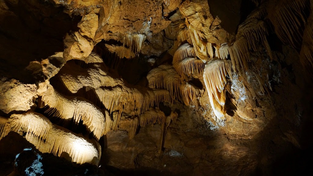 On Blue Mountains and Jenolan Caves Private Tour11