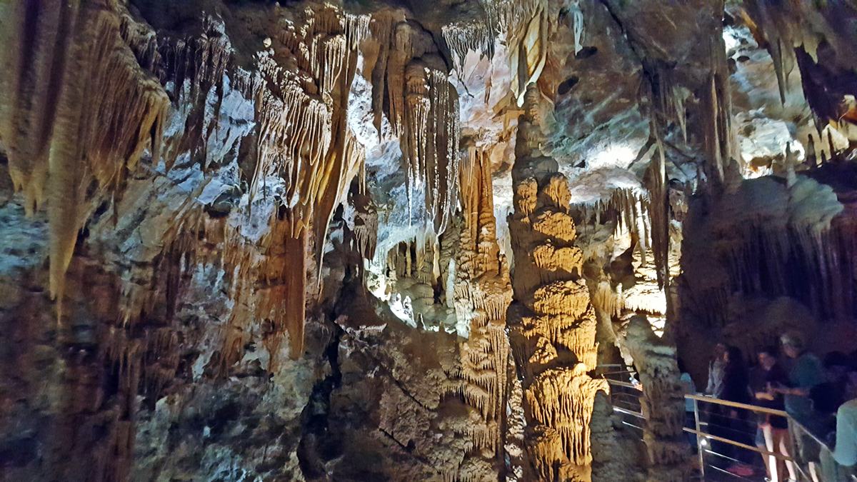 On Blue Mountains and Jenolan Caves Private Tour12