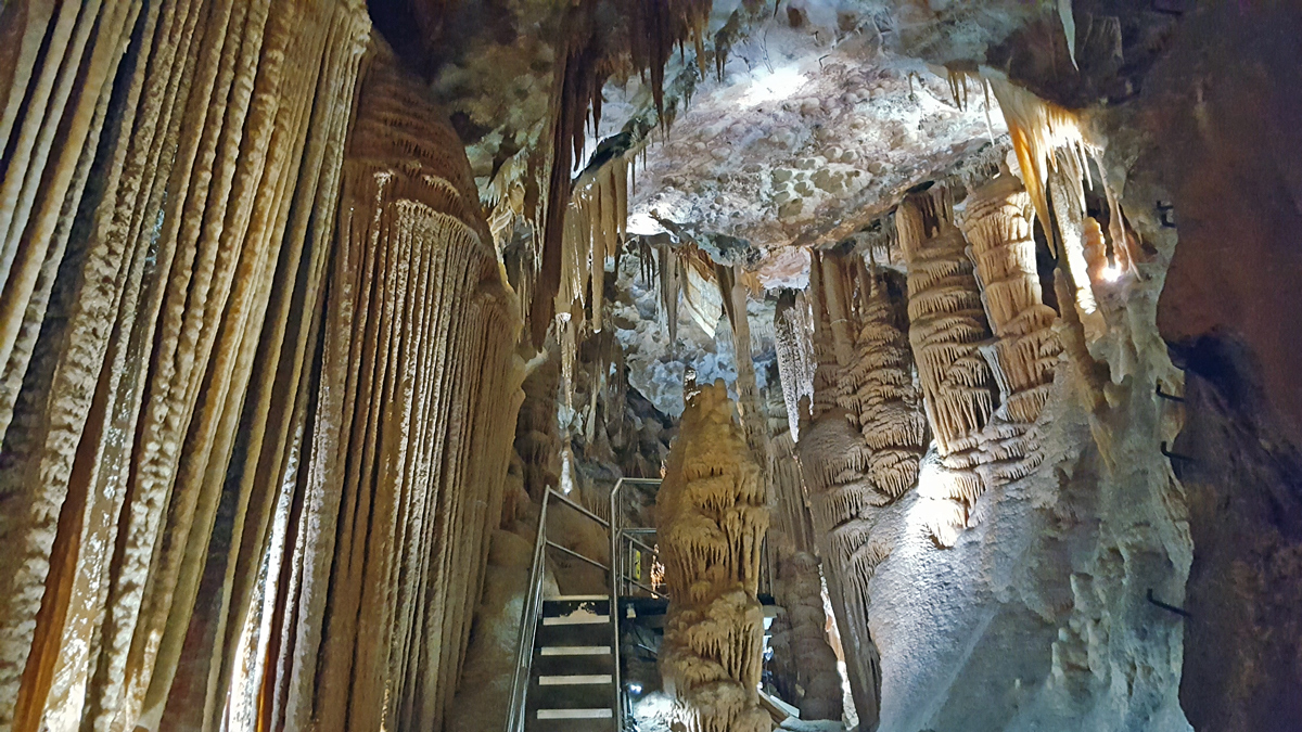 On Blue Mountains and Jenolan Caves Private Tour13