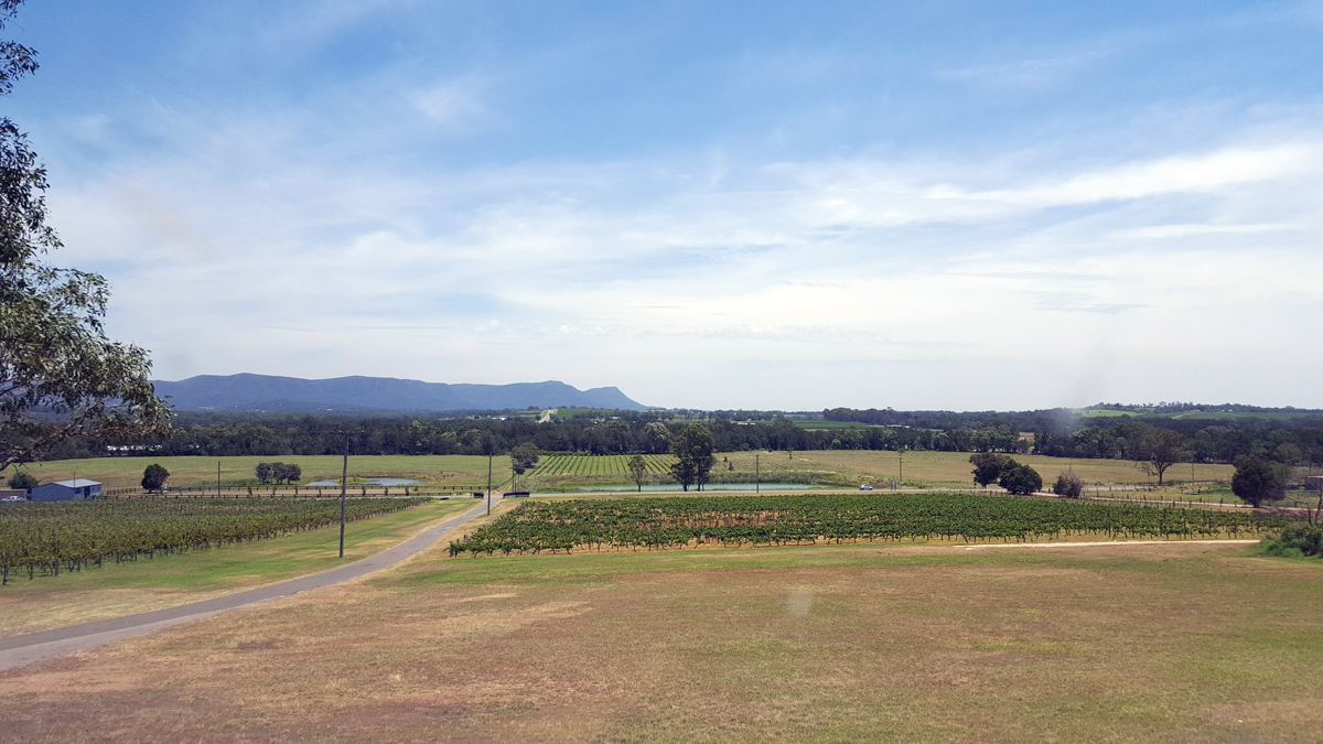 Hunter Valley Private Tour Winery13