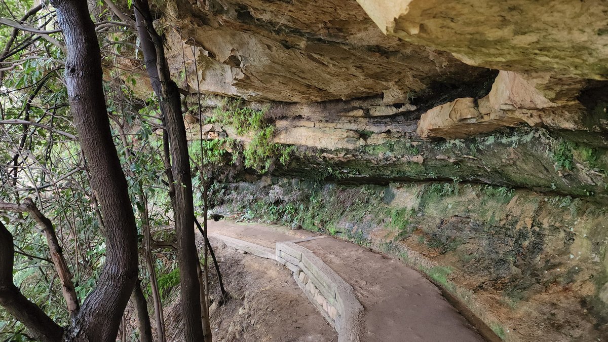 Sandstone overhang and clifftop hiking path on the Wentworth Falls track