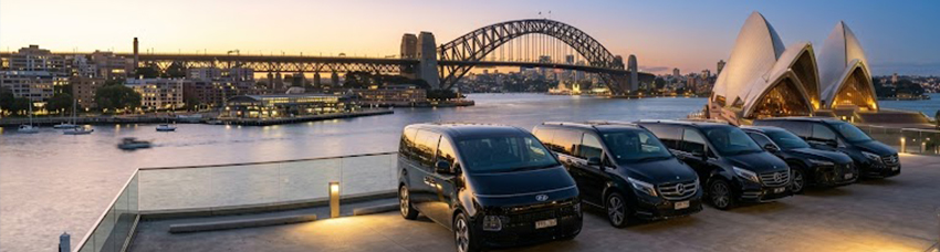 Sydney Private Tours luxury fleet — Mercedes V-Class, Hyundai Staria & sedans at Sydney Harbour