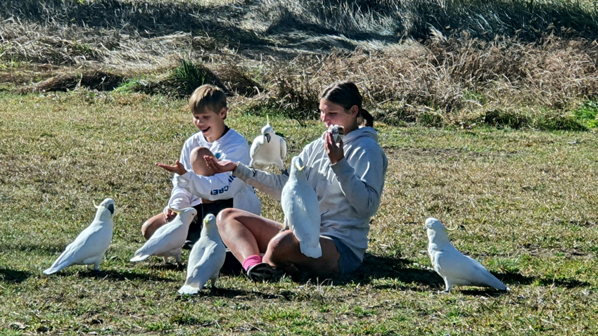 Sydney Harbour with families enjoying the waterfront