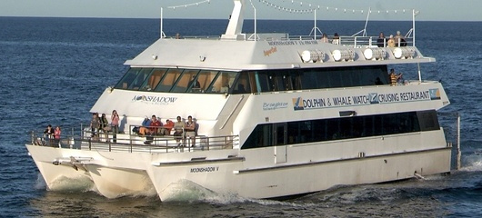 TAMBOI Cruise