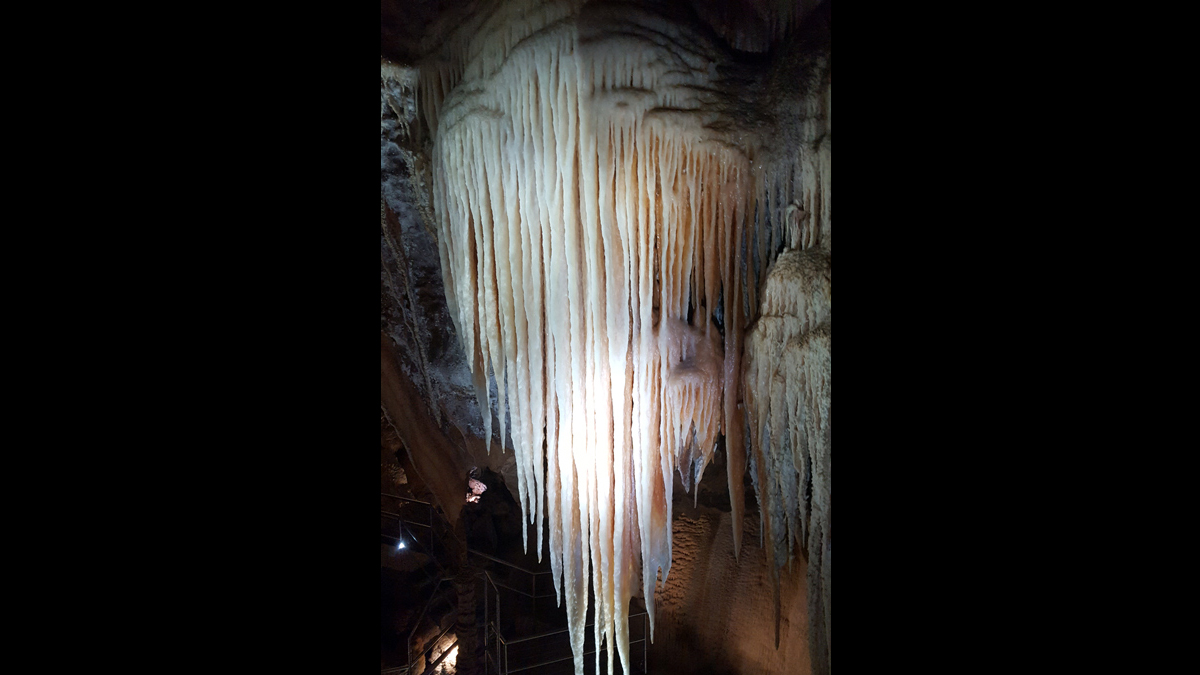 On Blue Mountains and Jenolan Caves Private Tour14
