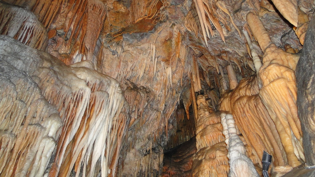 On Wombeyan Caves Private Tour13