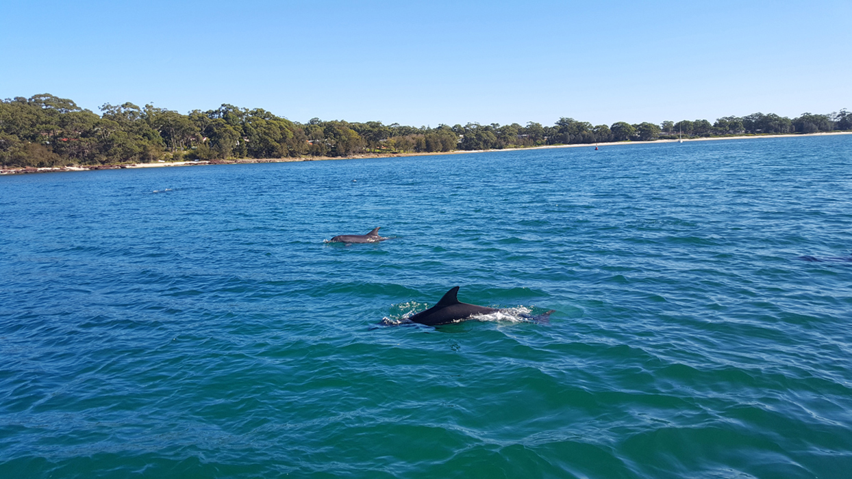 On Tour to Jervis Bay Photo9