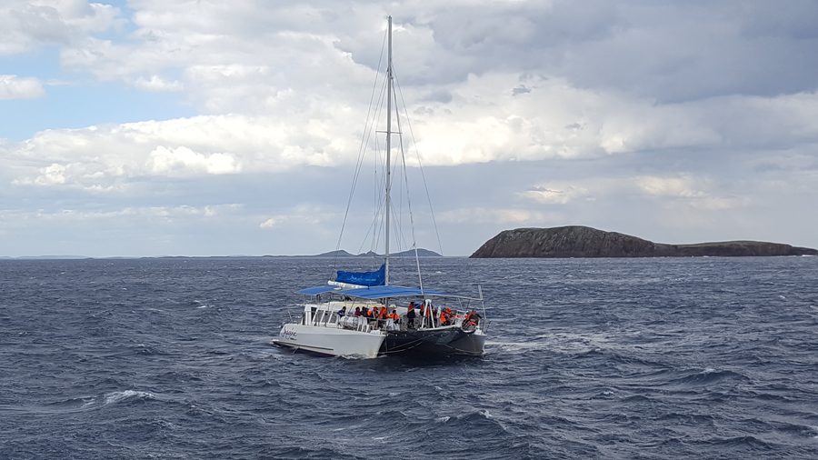 Whale watching catamaran at Port Stephens, north of Sydney